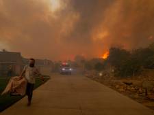 En révélant le sexe de leur bébé lors d’une fête de famille, ils mettent le feu à 2800 hectares de forêt