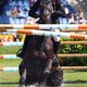 Vrieling derde met Bubalu