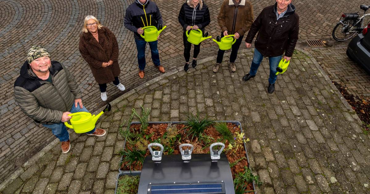 Tuintjes fleuren containers in Nieuw-Vossemeer op | Bergen op Zoom | bndestem.nl - BN DeStem