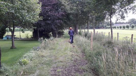 De gemeente liet een  baantje maaien.