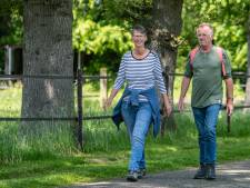 Steeds meer wandelen rond Deventer en Zutphen: ‘Je komt bijna niemand tegen in deze regio’