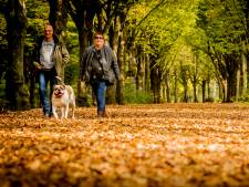 Weer een herfst zonder storm: ‘Blaadjes nog aan de bomen’
