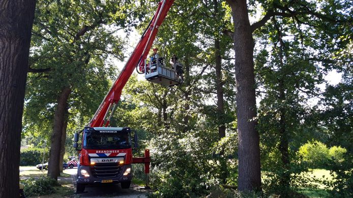 Met een hoogwerker werd de loshangende tak veilig uit de boom verwijderd in Dinxperlo.