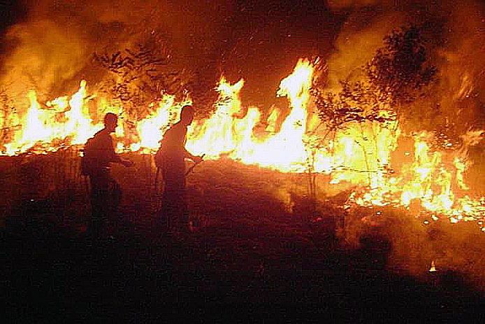 Brandweerlieden bekampen het vuur in de Braziliaanse Amazone.
