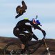 Mountainbiker racet tegen snelste vogel ter wereld