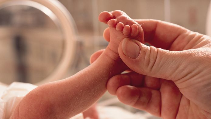 Premature Baby S Kunnen Al Overleven Op 22 Weken Maar De Prijs Kan Hoog Zijn Fit Gezond Hln Be