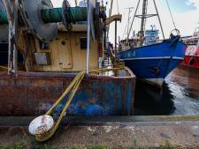 Vissers op Urk maken zich grote zorgen: ‘Alles wordt kapot gemaakt’