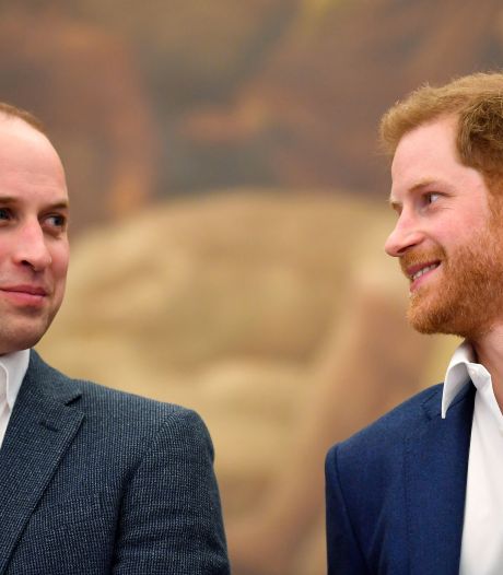 Harry et William ne se verront pas avant les funérailles: “Ils ne parlent que par téléphone”