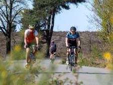 Burgemeester vraagt fietsers drukke Posbank echt te mijden: ‘Ik doe een morele oproep’