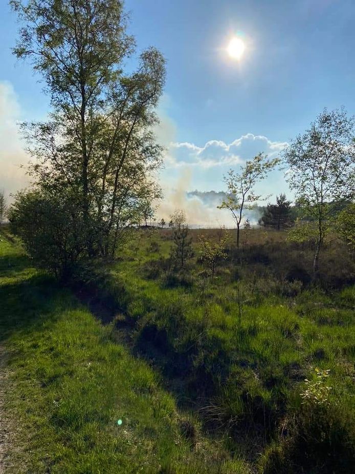 Ongeveer één hectare van de Kalmthoutse Heide ging zaterdagavond in vlammen op.