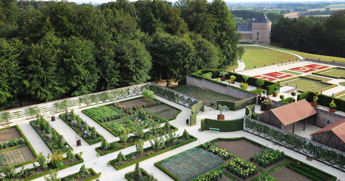 Museumtuin Gaasbeek opent uitzonderlijk voor Bloesemdag | Uit-tips ...