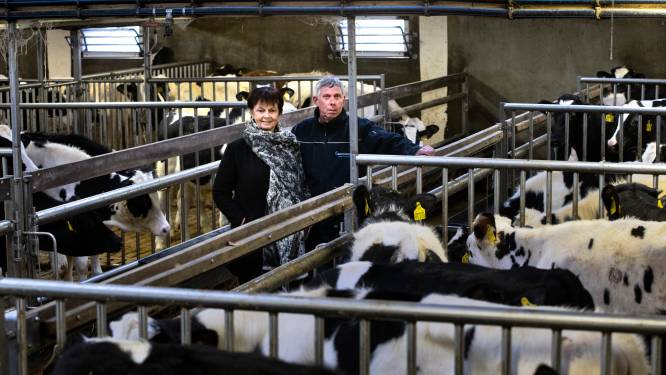 Mening | Stop strooien met miljarden bij het uitkopen van boeren; geef stoppers zicht op zinvol bestaan en goed perspectief
