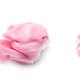 ‘Plasticvrije’ kauwgom bevat gewoon plastic: ‘Zelfde scheikundige samenstelling’