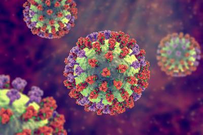 Un virus de la grippe a-t-il disparu grâce aux mesures anti-Covid?