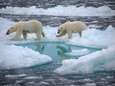 Groot onderzoek: “Noordpool kan binnenkort al ijsvrij zijn in de zomer”