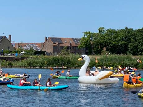 IN BEELD: Vraag om open zwemwater klinkt luider dan ooit: wel 1.000 deelnemers aan ‘Dobberdag’ in het Houtdok