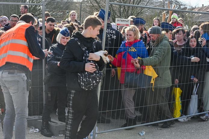 Oekraïense vluchtelingen in Brussel.
