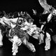 Laba van choreograaf Mohamed Yusuf Boss is een energieke ‘reis door niemandsland’ ★★★★☆
