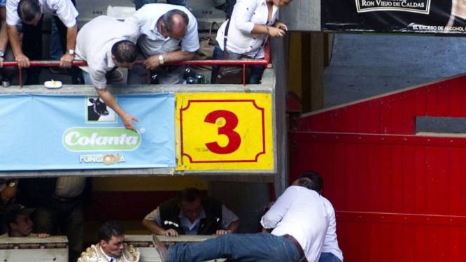 Stier slaat terug in arena