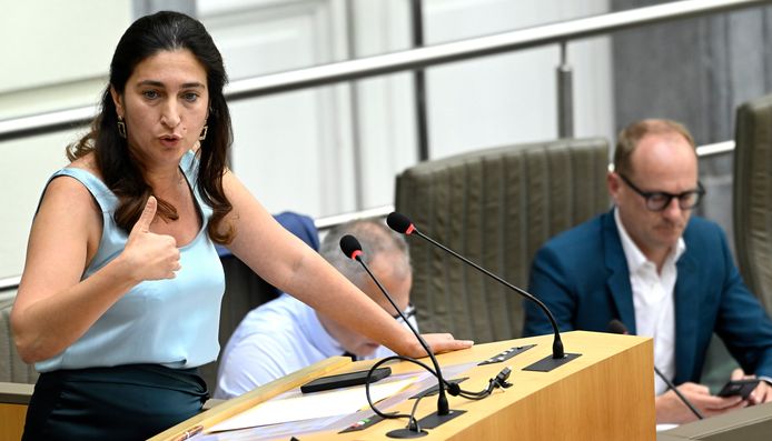 Vlaams minister van Energie Zuhal Demir (N-VA).