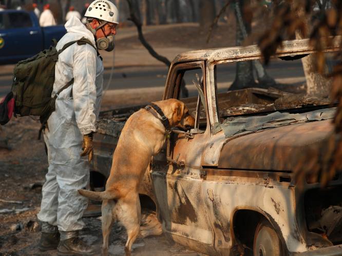 Na bosbranden zet Californië zich schrap voor volgende natuurdreiging: regen