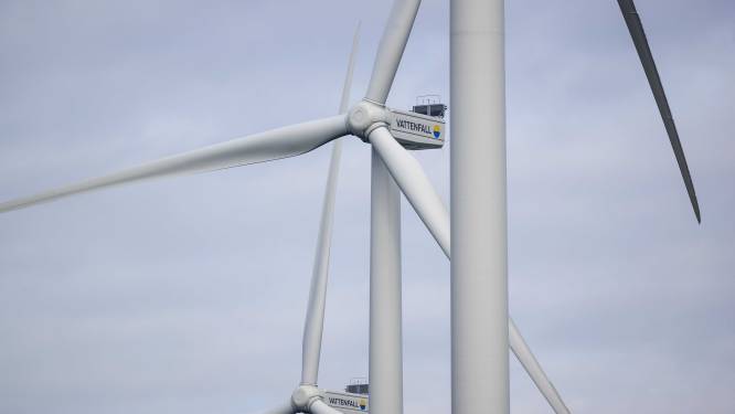 Rechter: kabinet moet milieu-effecten windmolenparken beoordelen