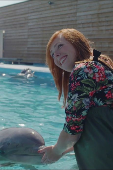 Minister beticht Dolfinarium van foute foto’s met dolfijnen, park is verbaasd: ‘Dit mogen we doen’