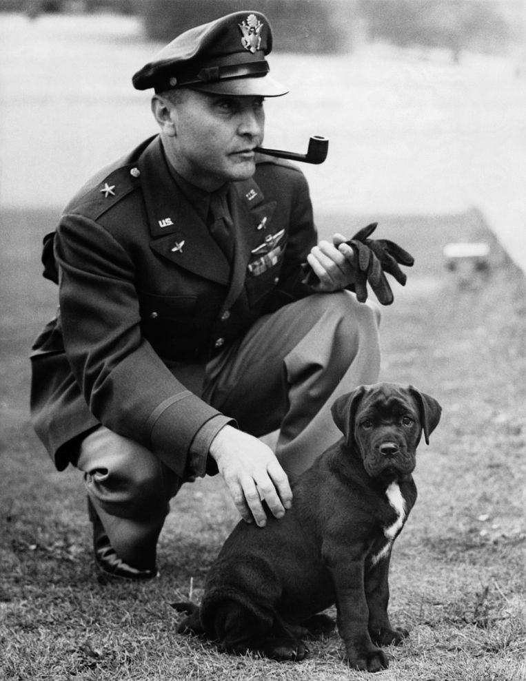 Anjing memainkan peran besar di kedua sisi selama Perang Dunia II.  Gambar Corbis melalui Getty Images