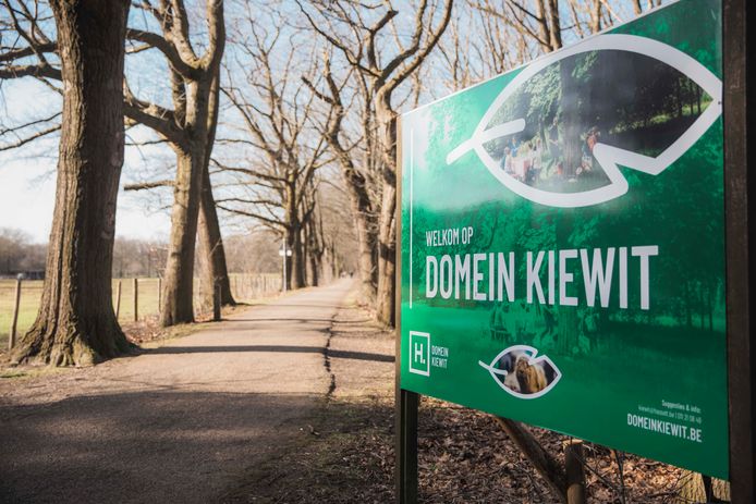 Domein Kiewit