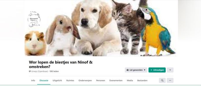 De nieuwe Facebookpagine 'Wor lopen de biestjes van Ninof & omstreken?'