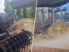 Politie heeft afspraken gemaakt met ‘boer’ die schade heeft veroorzaakt bij gemeentehuis in Lochem