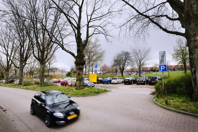 De onverharde parkeerstrook aan de Lovensdijkstraat gaat volgend jaar verdwijnen, en met haar waarschijnlijk ook enkele monumentale bomen.