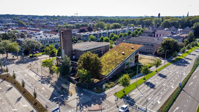 Waarom deze enorme kastanjeboom (70 jaar) in Alphen voor de tweede keer wordt verplaatst