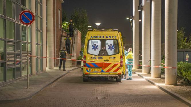 ‘Undercoveragent ingezet tegen verdachte van doodslag op Lara’