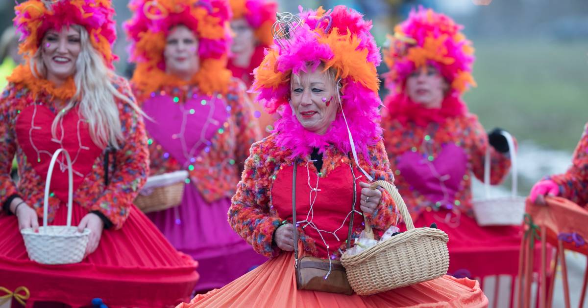 Hier zie de carnavalsoptochten van 2017 | Carnaval 2017 | gelderlander.nl