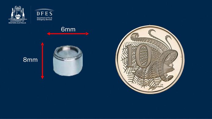La piccola capsula, comprese le dimensioni.  Per il contesto accanto: una moneta.