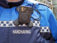 Zwijndrecht gaat aantal boa’s meer dan verdubbelen: ‘Jarenlang veel te mager geweest’