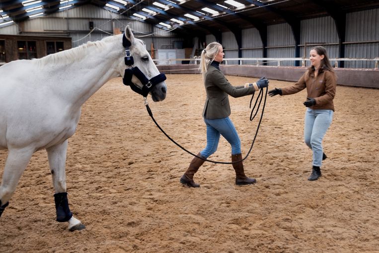 Rosa van Veen overhandigt het touw aan Marlies de Lang (rechts). Links de 23-jarige merrie Majesteit.  Beeld Herman Engbers