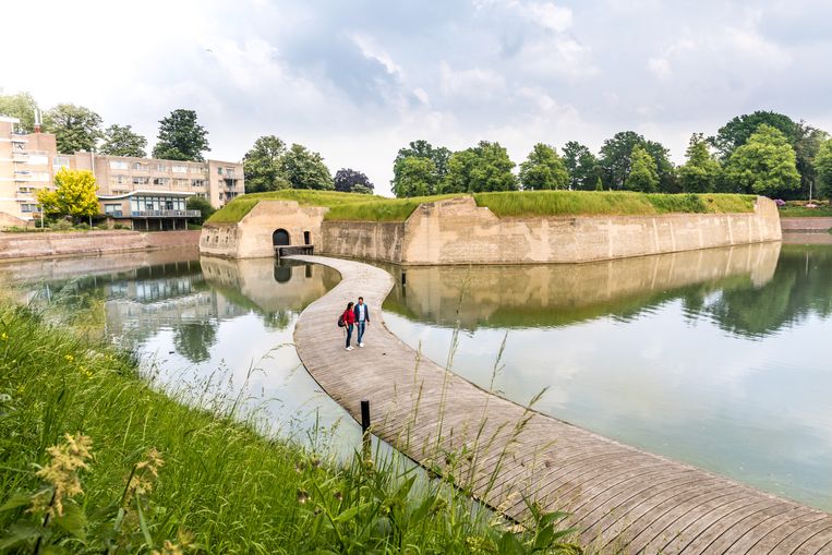 safari bergen op zoom