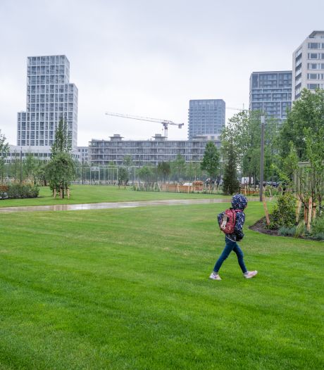 “Noem het Park Dok Zuid, Park Zuiderdokken of Zuiderdokkenpark”: buurtvereniging TeamZuid lanceert petitie tegen namen die stad voorstelt