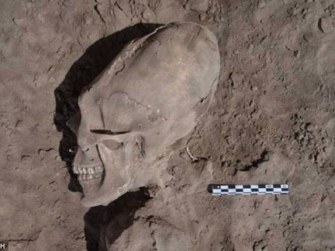 'Alienschedels' van 1.000 jaar oud ontdekt op kerkhof