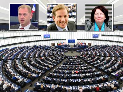 Politicus in Brussel, hoe vertel je dat op feestjes? Drie Europarlementariërs aan het woord