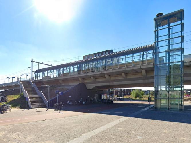 Gescheurde betonblokken die treinverkeer Arnhem-Nijmegen stil leggen, zorgden al eerder voor problemen