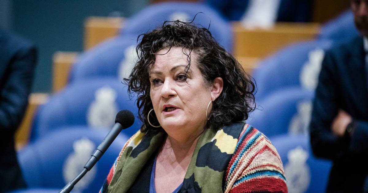 Caroline Van Der Plas Doet Tijdelijk Stap Terug Na 'Ernstige' Bedreigingen  | Boerenprotest | Destentor.Nl