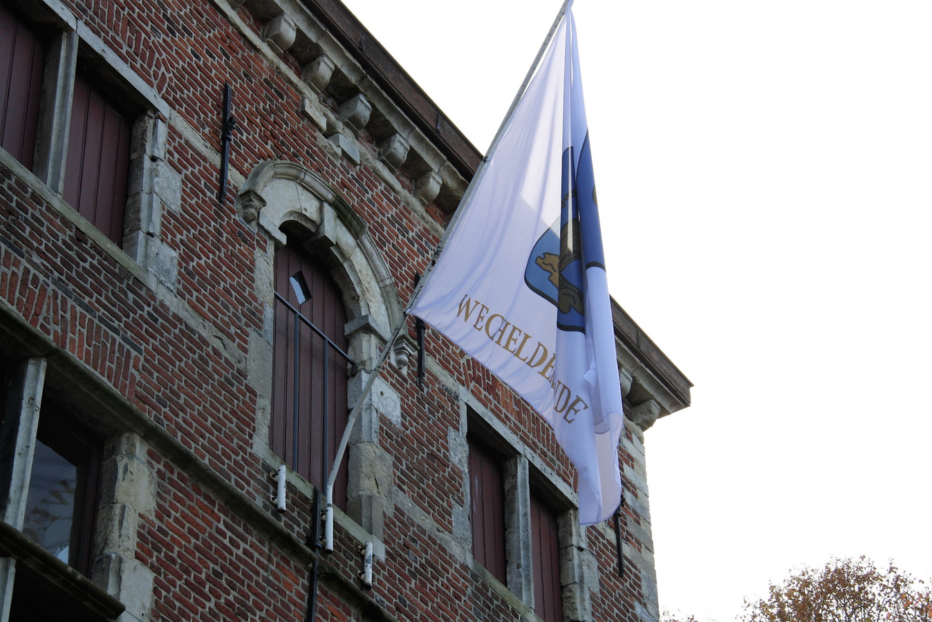 Lille, Wechelderzande, Gierle en Poederlee hangen vlaggen met oud wapenschild uit Foto hln.be