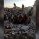Armenië en EU-gezant ontzet na opduiken video met mogelijke executies door militairen Azerbeidzjan