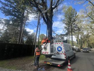 Vervangen straatverlichting in Ermelo is afgerond: ‘Beter voor het milieu én minder storingen’ 