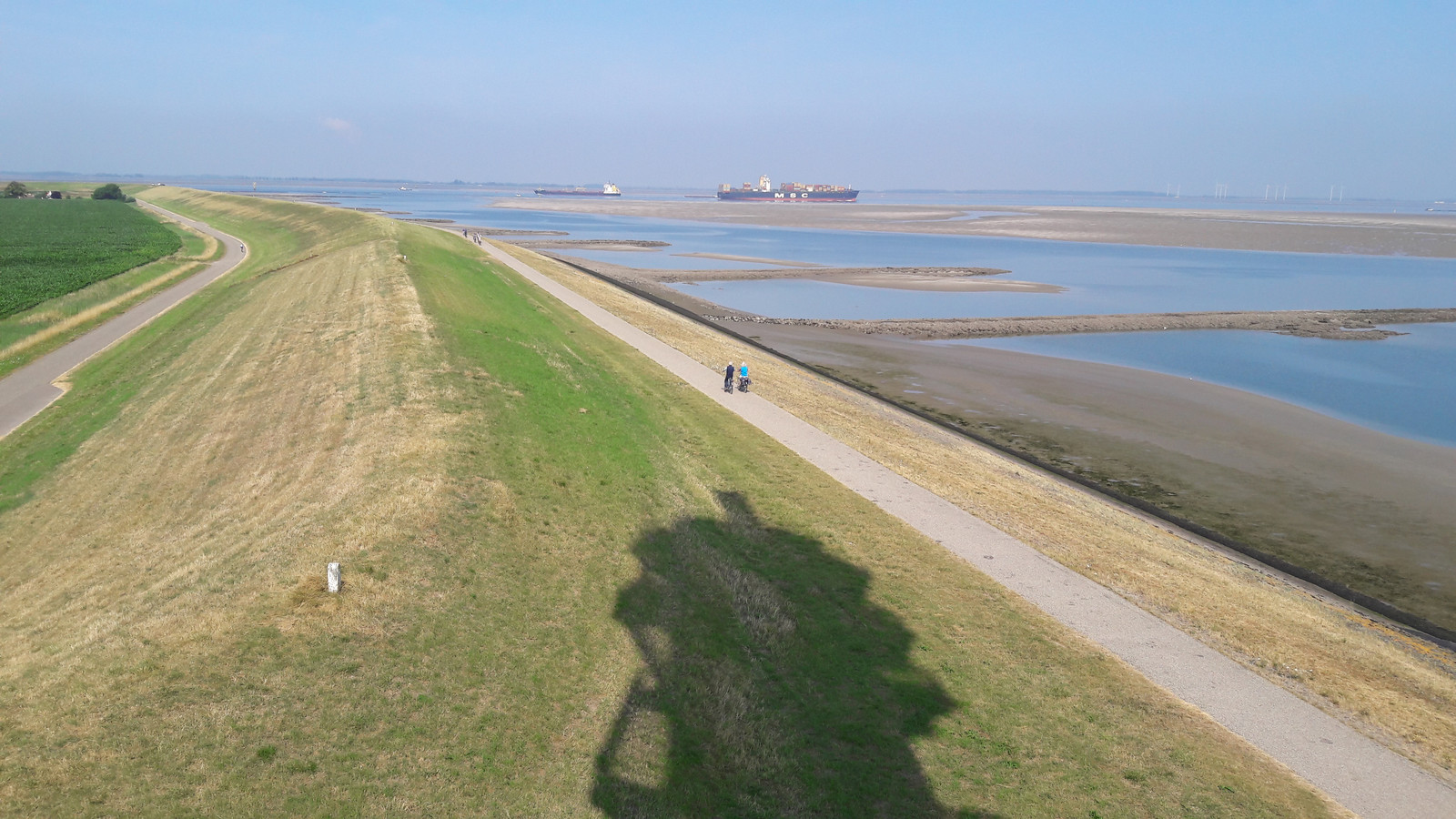 Al jaren te veel giftige stoffen in Westerschelde Foto AD.nl