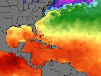 Extreem hoge zeewatertemperatuur Caraïbische Zee verbaast wetenschappers: “Nu al zo warm als tijdens maximum in najaar”