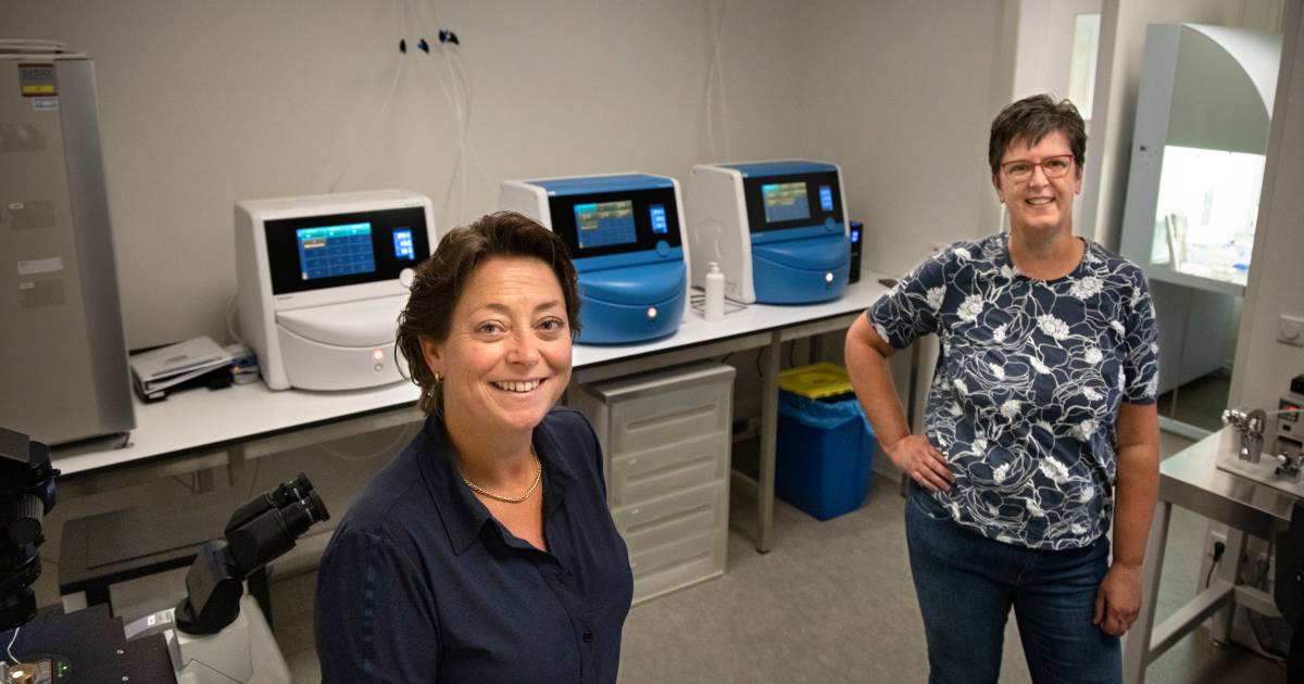 Steeds drukker bij vruchtbaarheidskliniek in Elsendorp: ‘We willen de beste van Nederland worden’